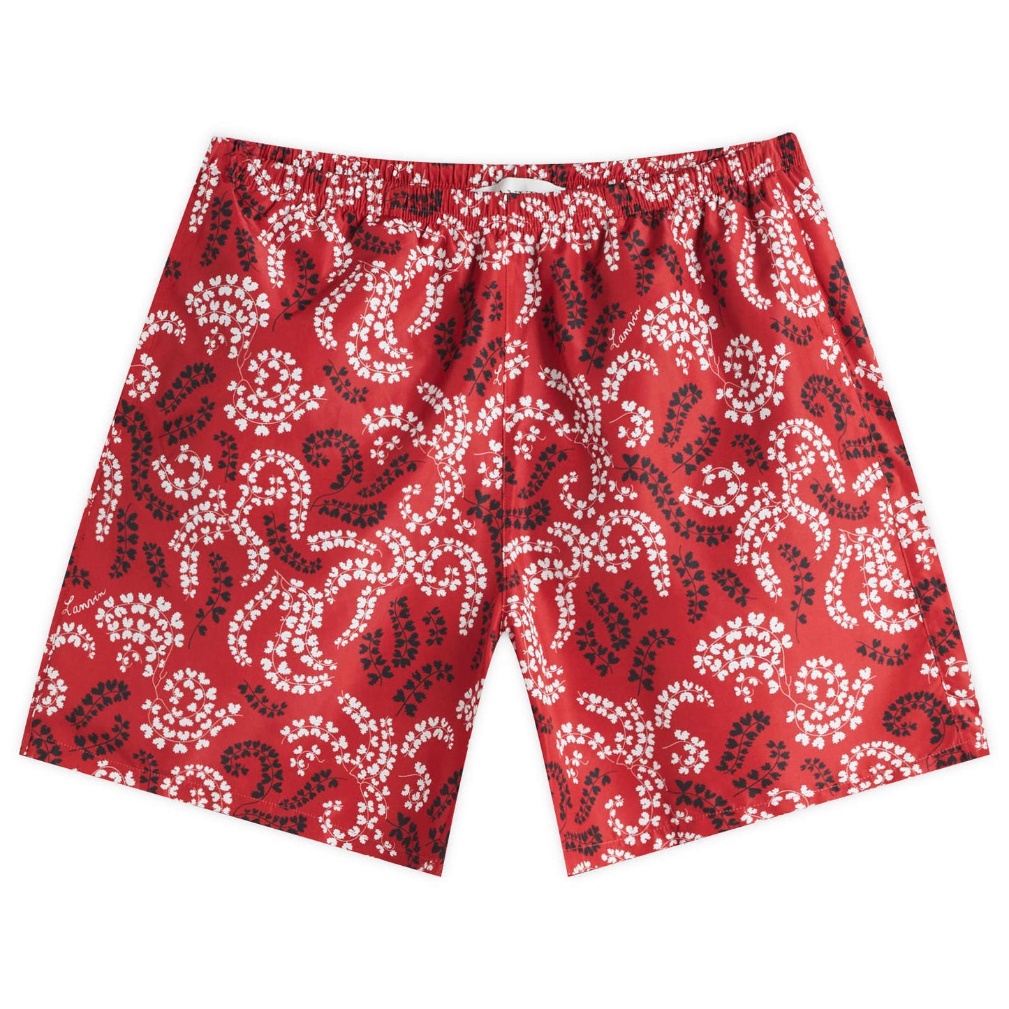 Rateau Print Swim Shorts