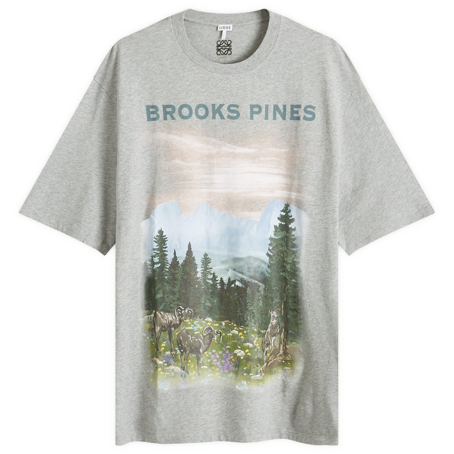 Brooks Pines T-Shirt