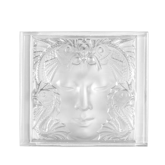 Révélation Masque De Femme Decorative Panel