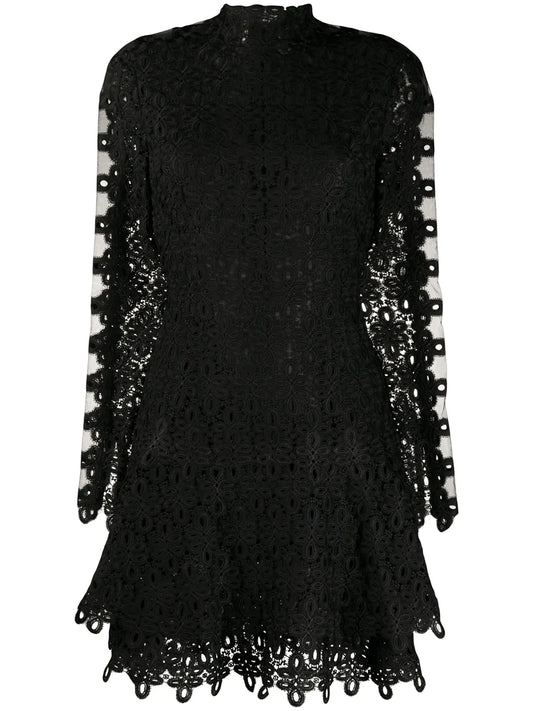 Lace Embroidered Mini Dress
