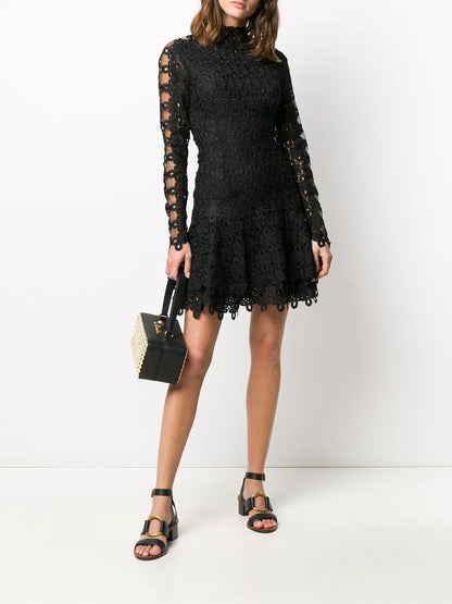 Lace Embroidered Mini Dress