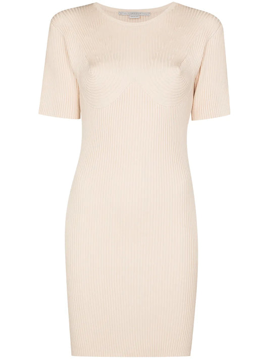 Ribbed Knitted Mini Dress