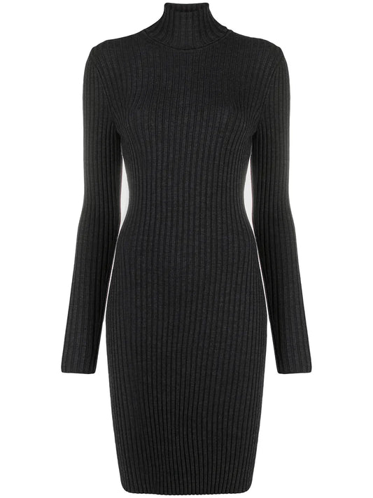 Ribbed Knit Turtleneck Dress