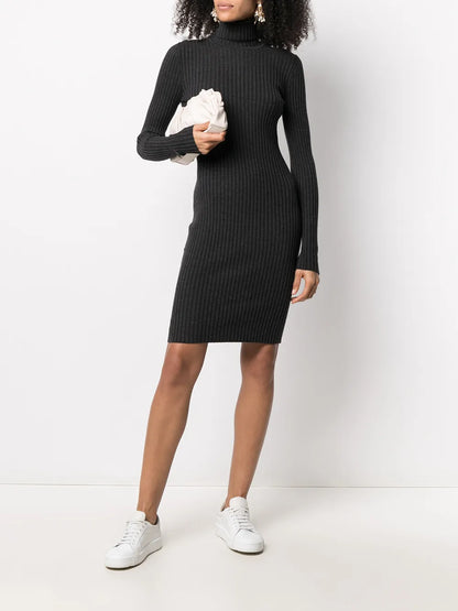 Ribbed Knit Turtleneck Dress