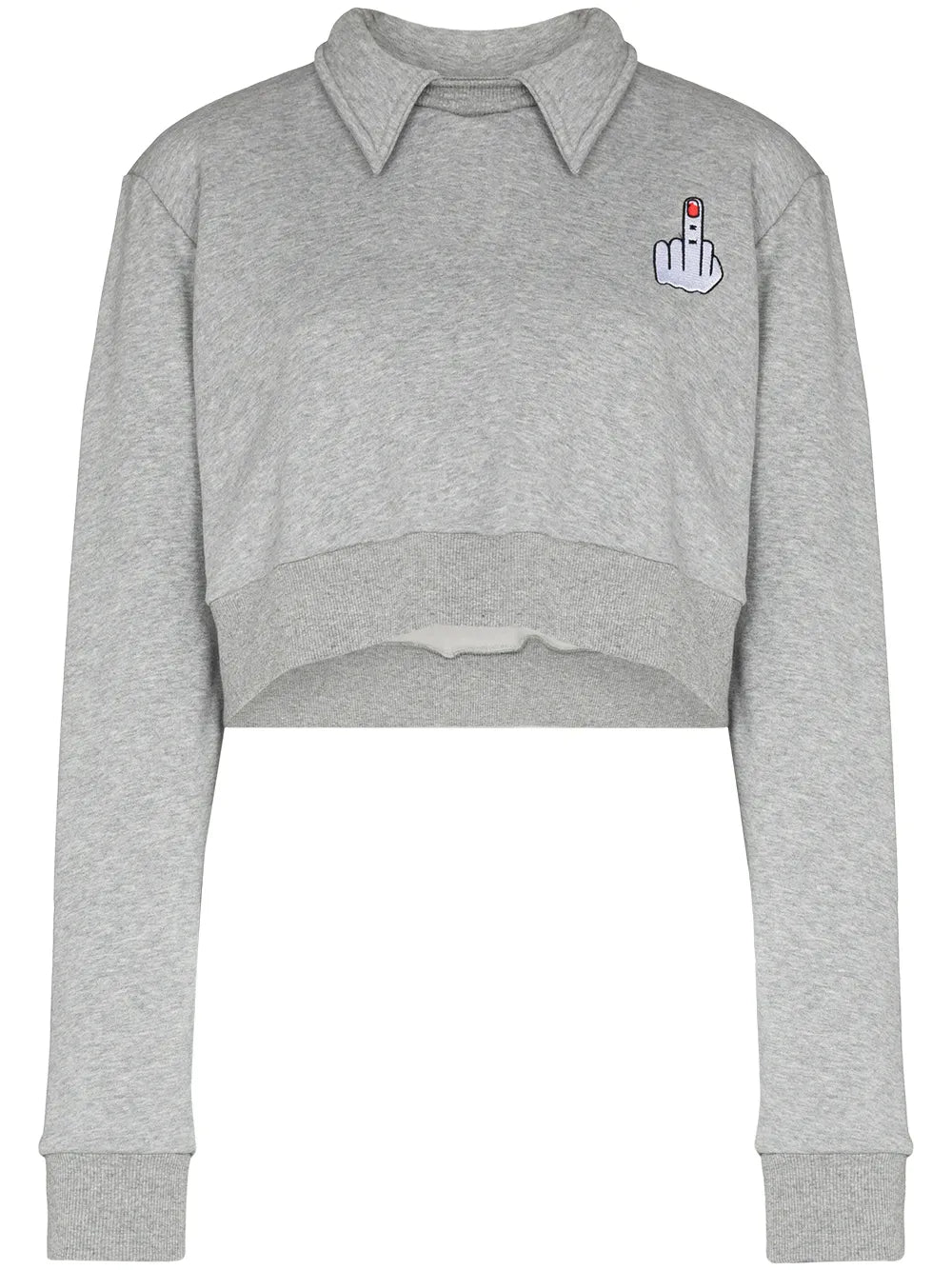 Wings Detail Cropped Sweatshirt