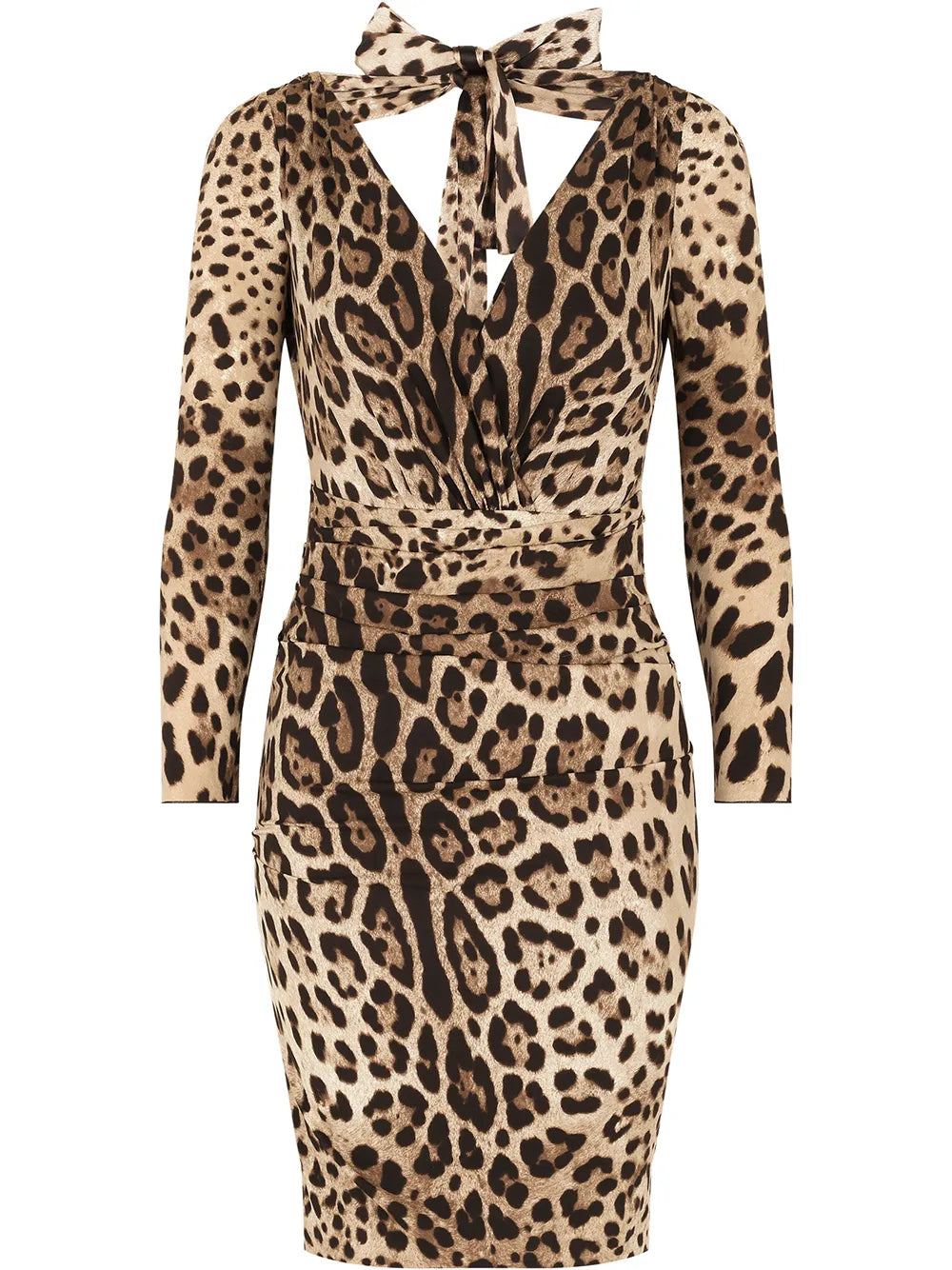 Leopard-Print Dress