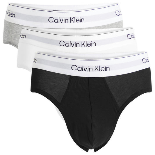 Icon Hip Brief - 3 Pack