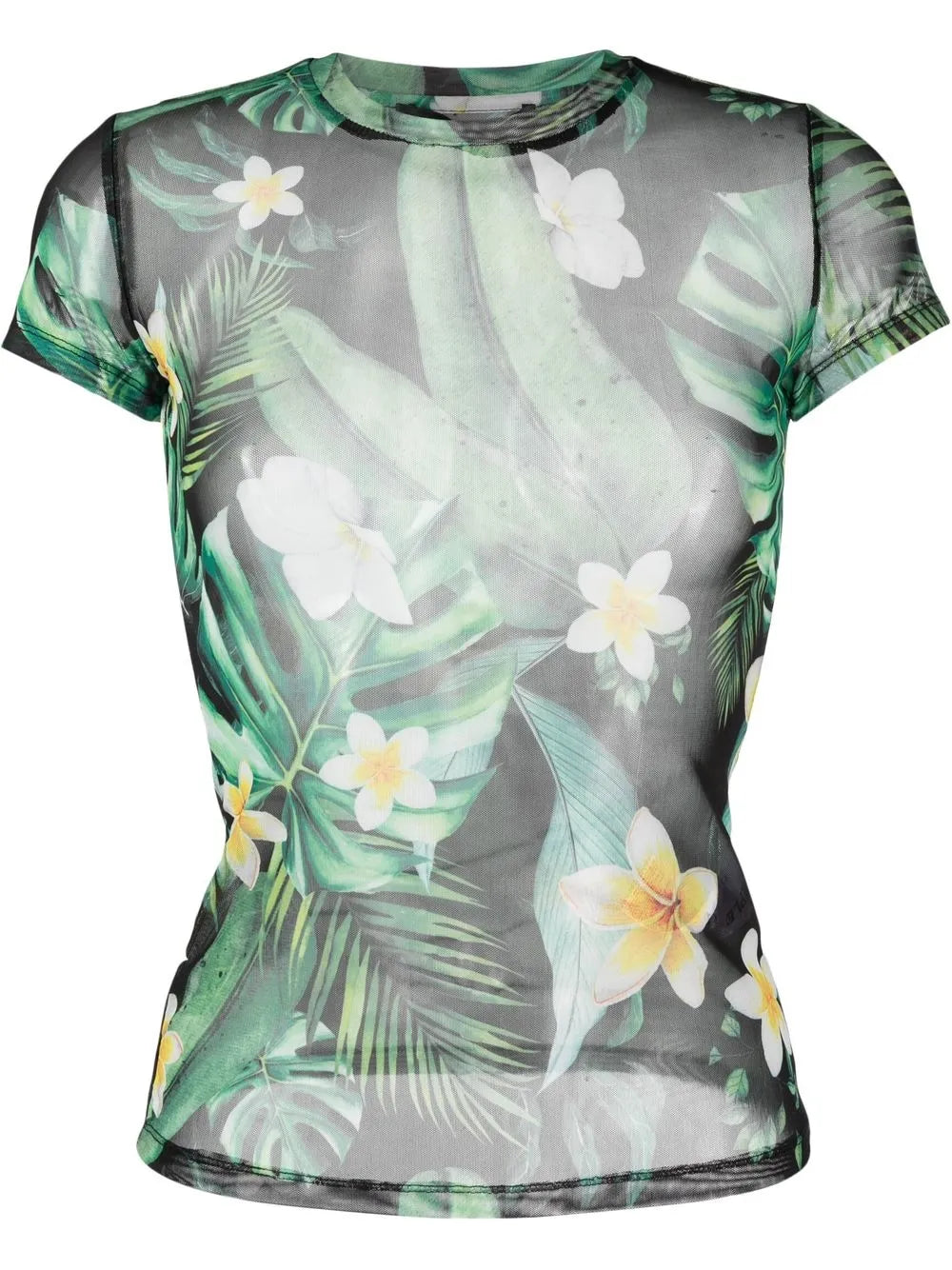Sheer Graphic-Print T-Shirt