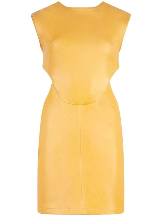 Eloisa Mini Dress