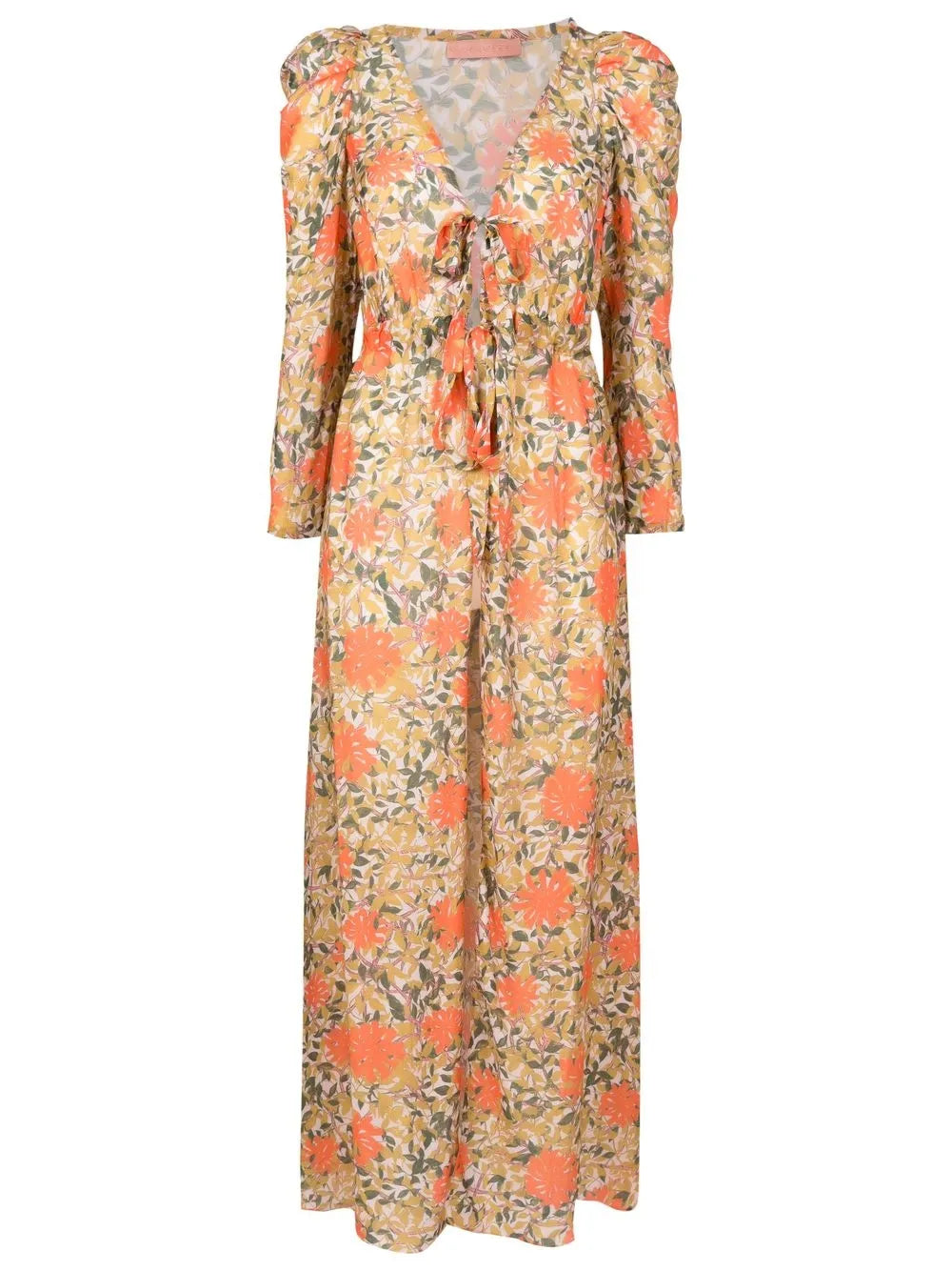 Darina Floral-Print Maxi Dress