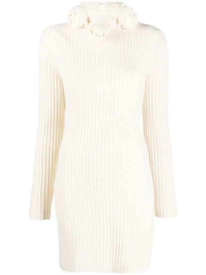Roll-Neck Wool Mini Dress