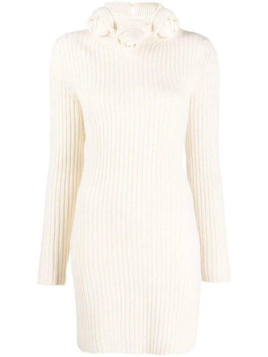 Roll-Neck Wool Mini Dress