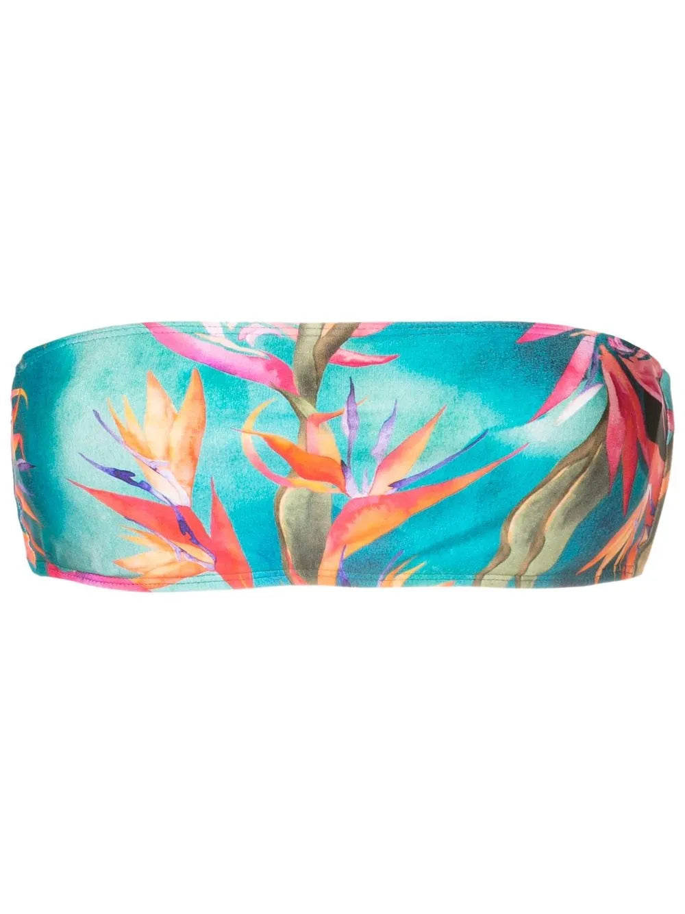 Bajja Strapless Bikini Top