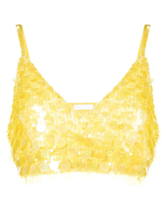 V-Neck Sequin Embellished Crop Top