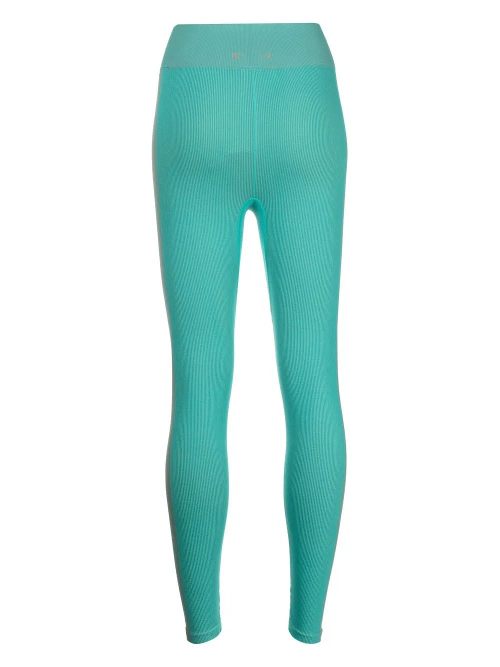Seamless Ribbed Leggings