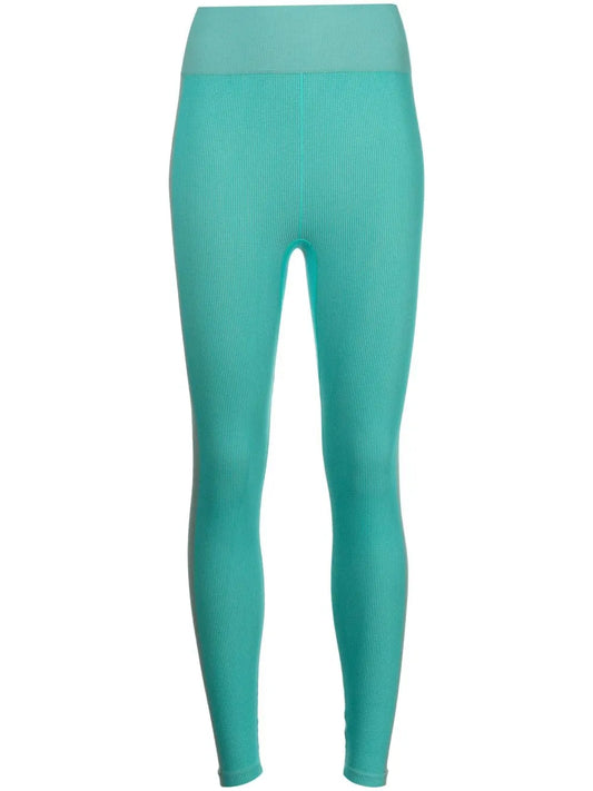 Seamless Ribbed Leggings