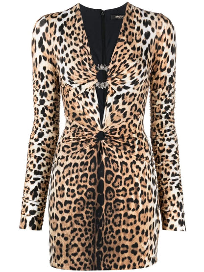 Leopard Print V-Neck Minidress
