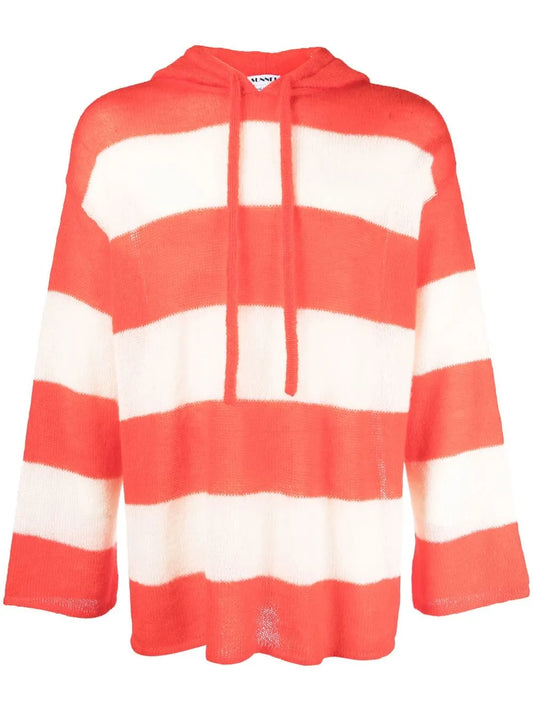 Striped Intarsia Knit Hoodie