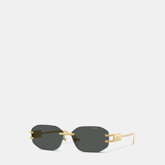 Damier Plaque Sunglasses