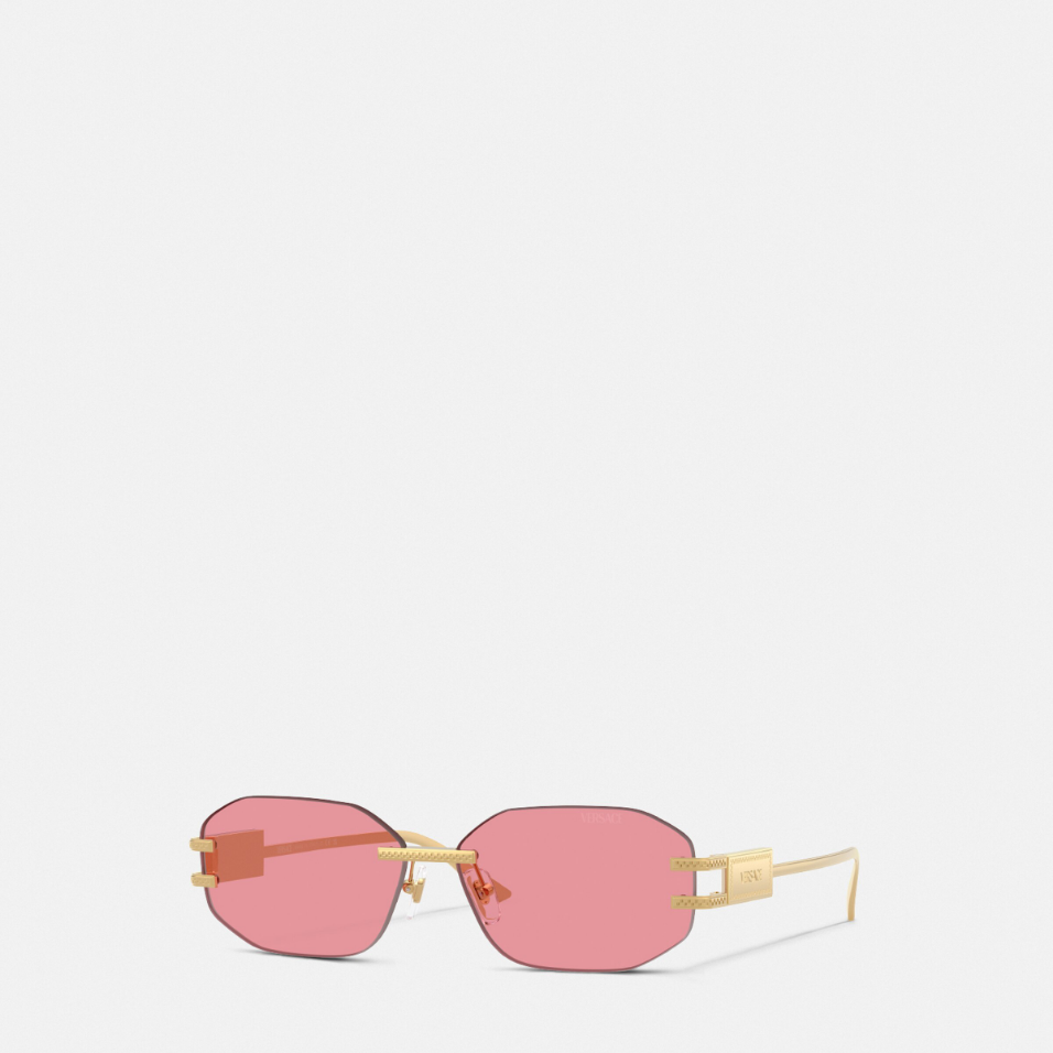 Damier Plaque Sunglasses