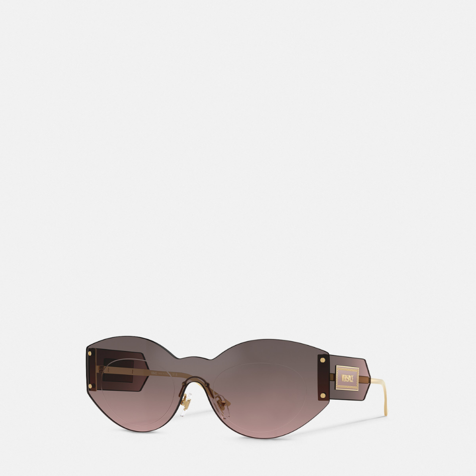 Damier Plaque Shield Sunglasses