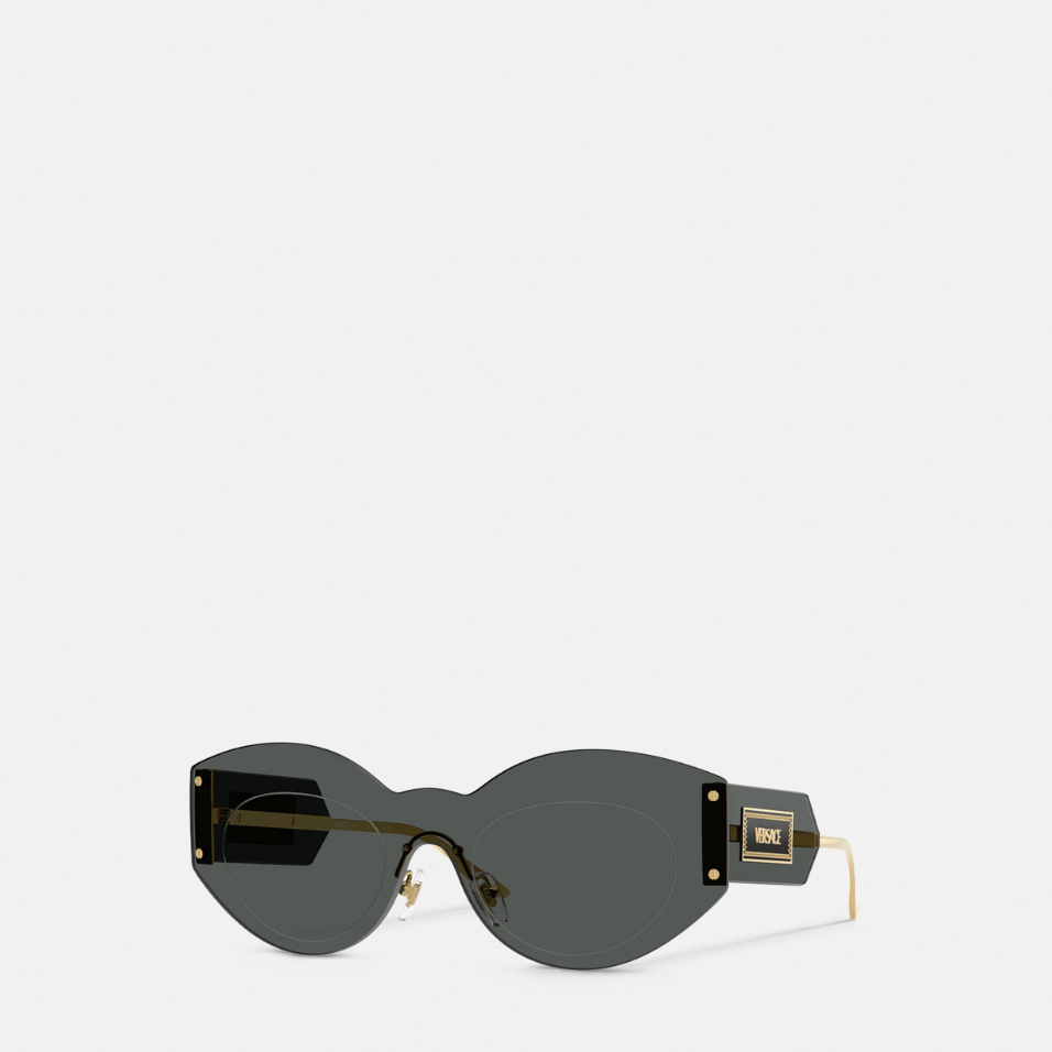 Damier Plaque Shield Sunglasses