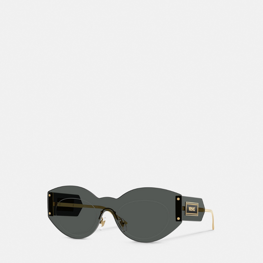 Damier Plaque Shield Sunglasses