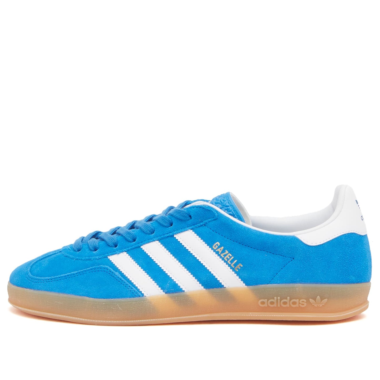 Gazelle Indoor