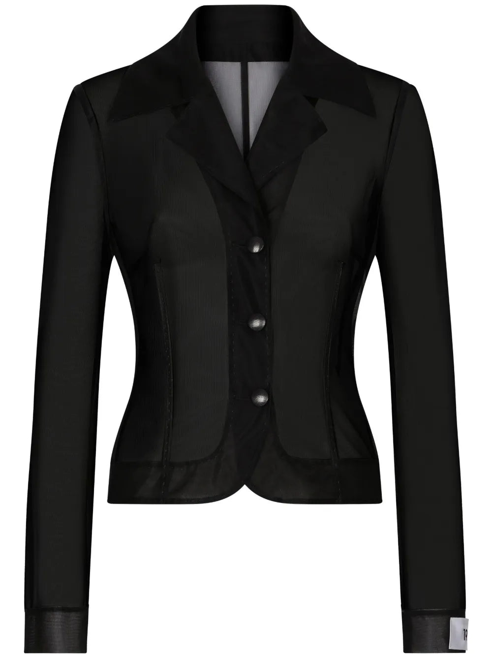 Sheer Single-Breasted Blazer