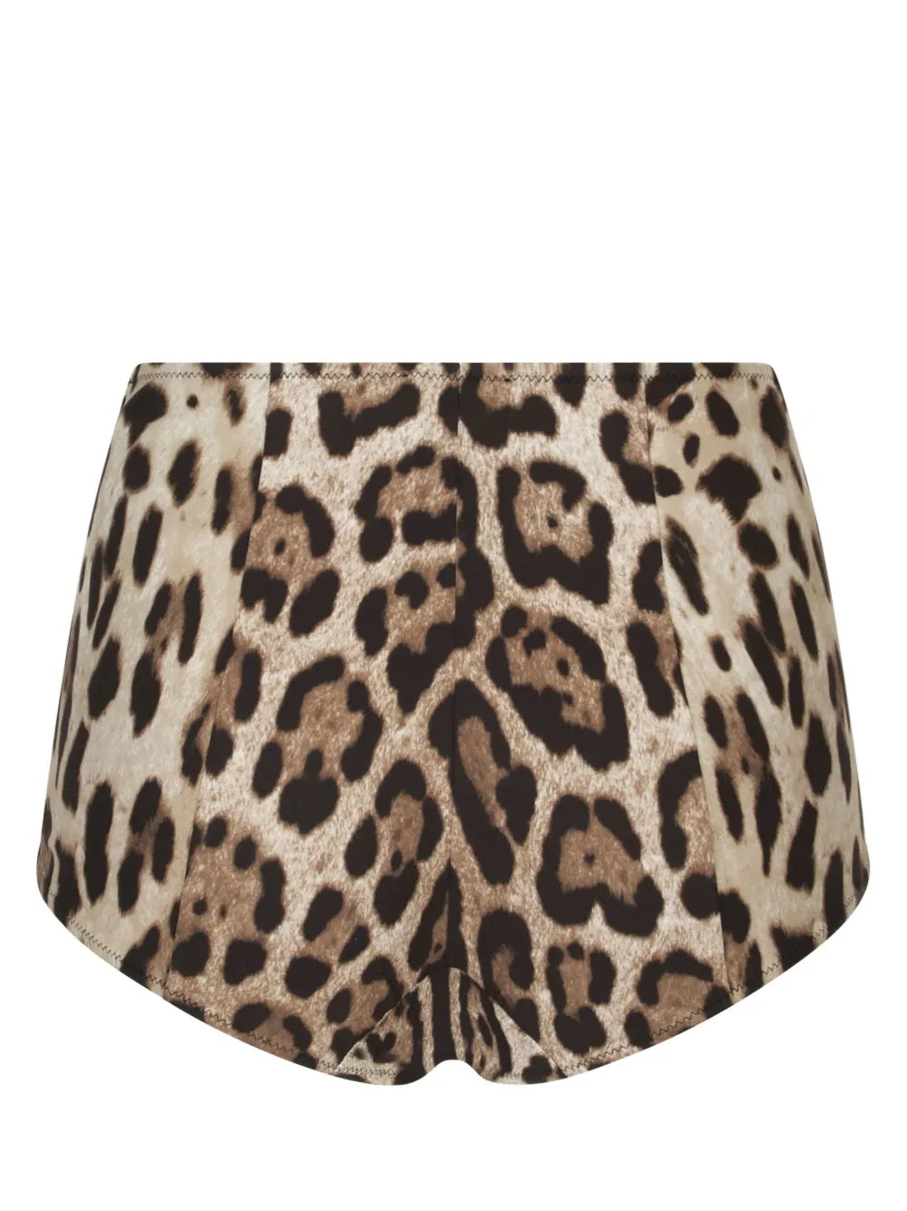 Leopard-Print High-Waisted Bikini Bottom