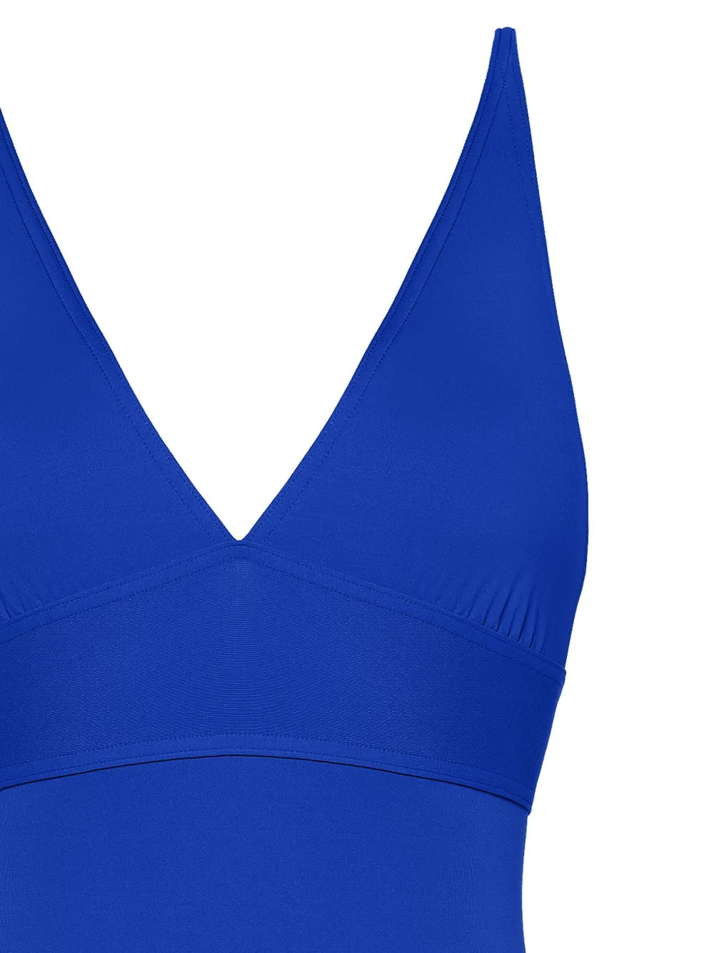 Larcin V-Neck Swimsuit