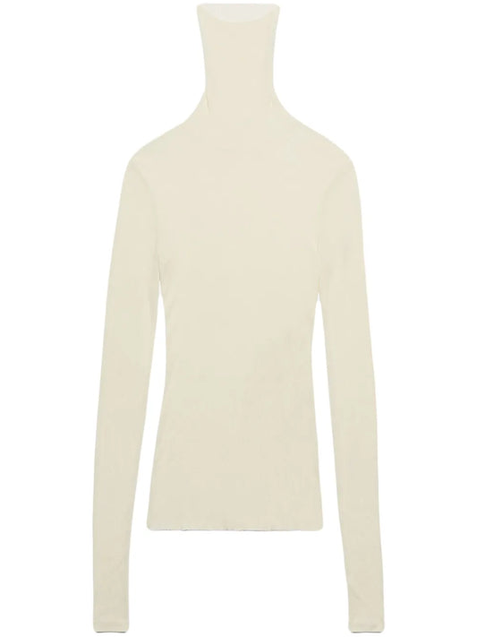 Roll-Neck Ribbed Sweater