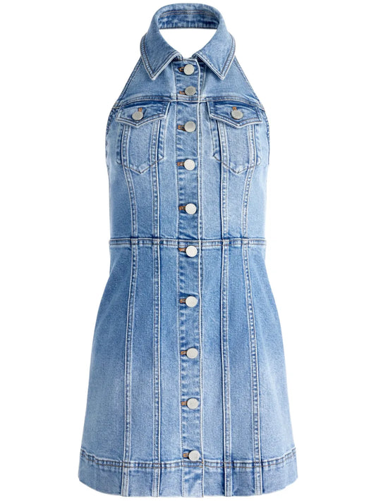 Kendall Denim Dress