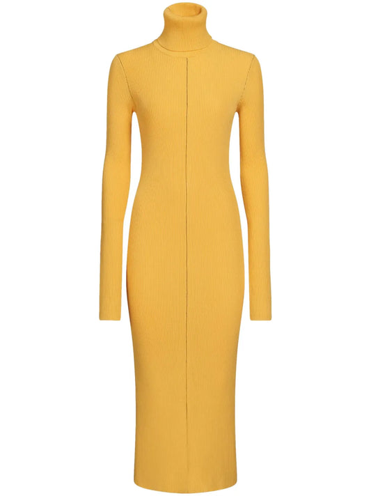 Roll-Neck Ribbed Midi Dress
