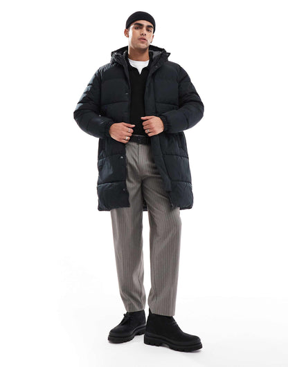 Long Hooded Puffer