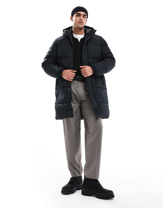 Long Hooded Puffer
