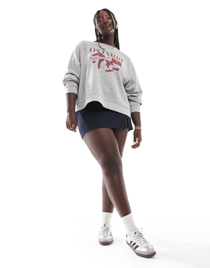 Curve Raglan Oversized Sweat With Ontario Graphic