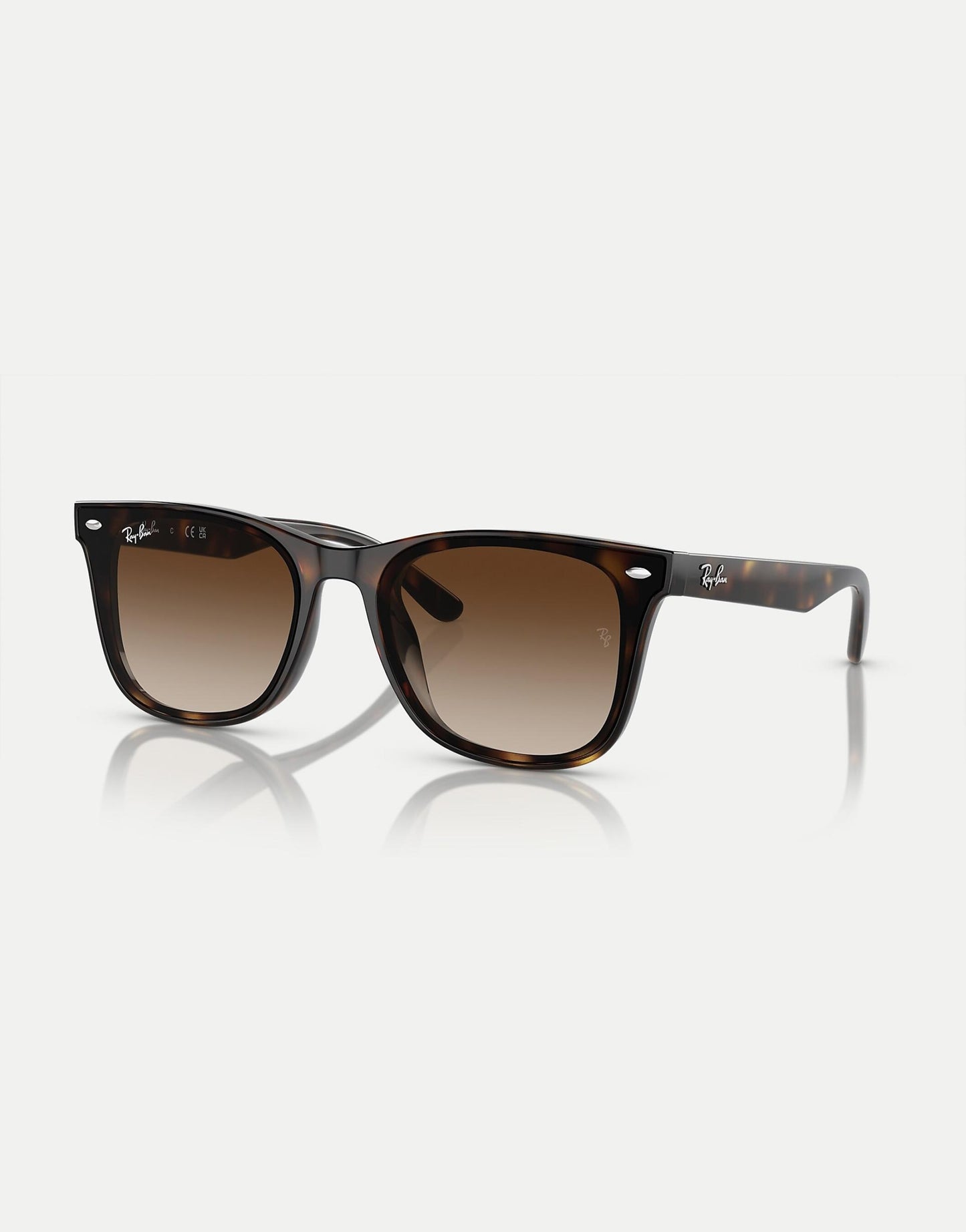 Rb4420 Square Sunglasses