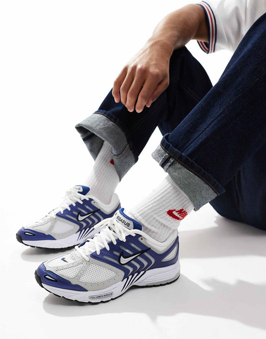 Pegasus 2005 Trainers