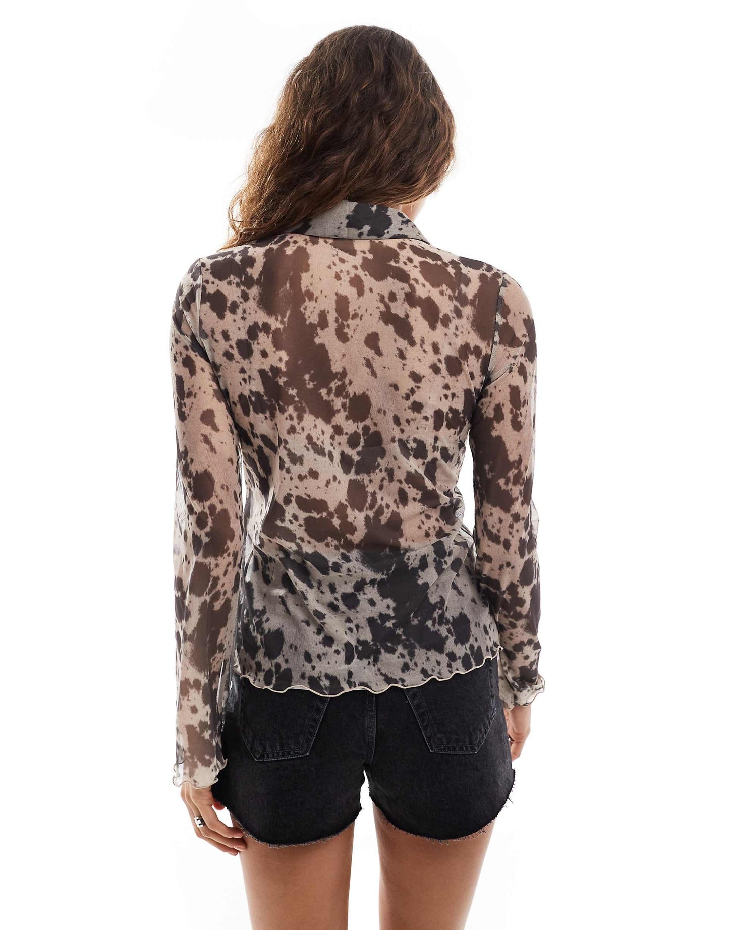 Long Sleeve Sheer Collar Shirt