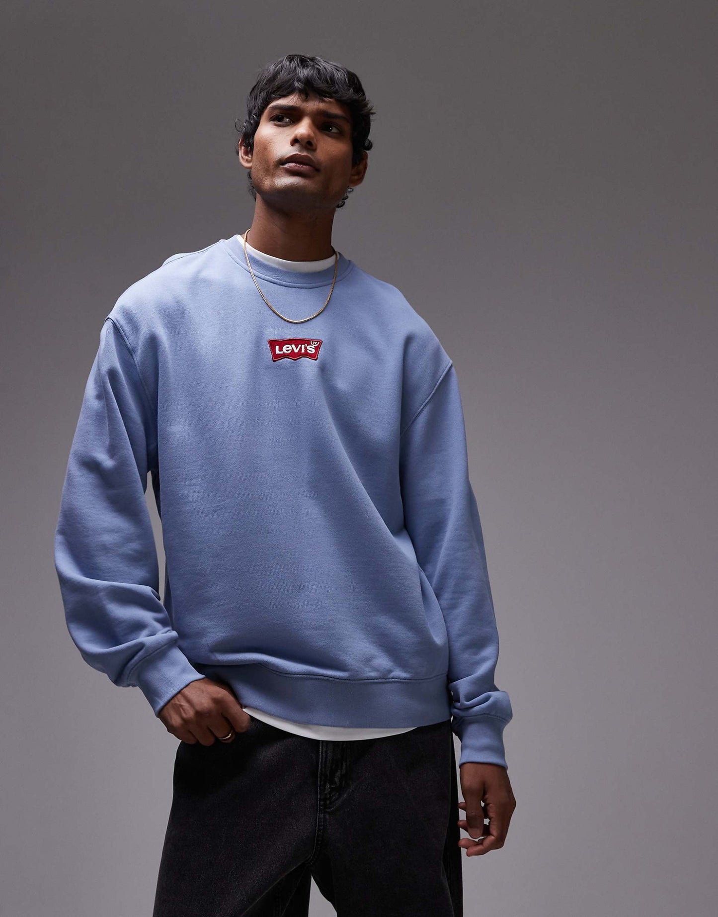 Relaxed Fit Central Batwing Logo Sweatshirt