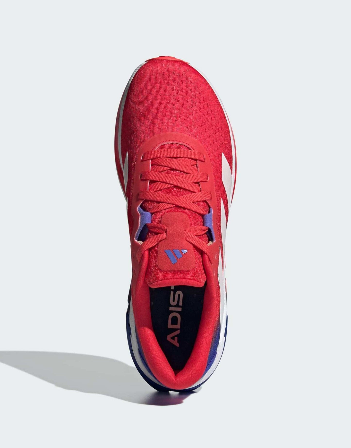 Adistar 3 Trainers