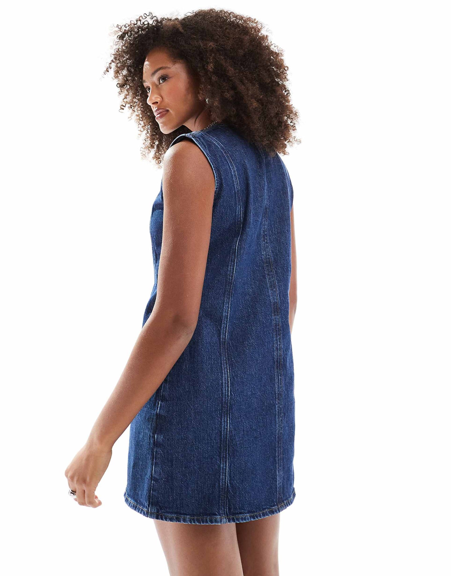 Denim Seamed Shift Dress