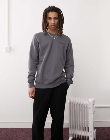 Barton Springs Crew Sweatshirt