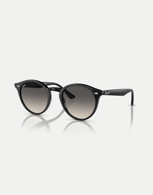 Rb2180 Round Sunglasses With Green Lens
