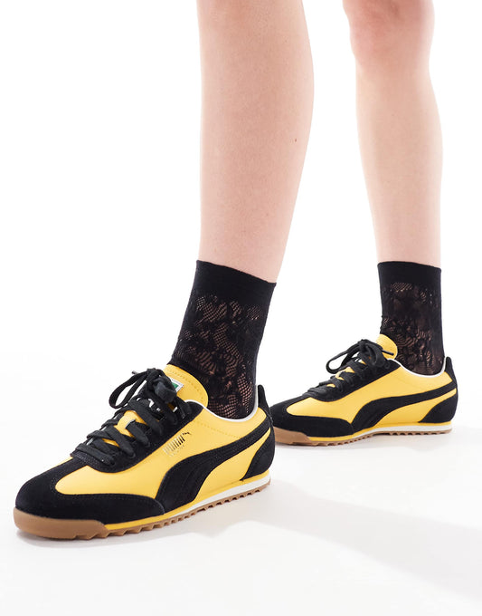 Arizona Trainers