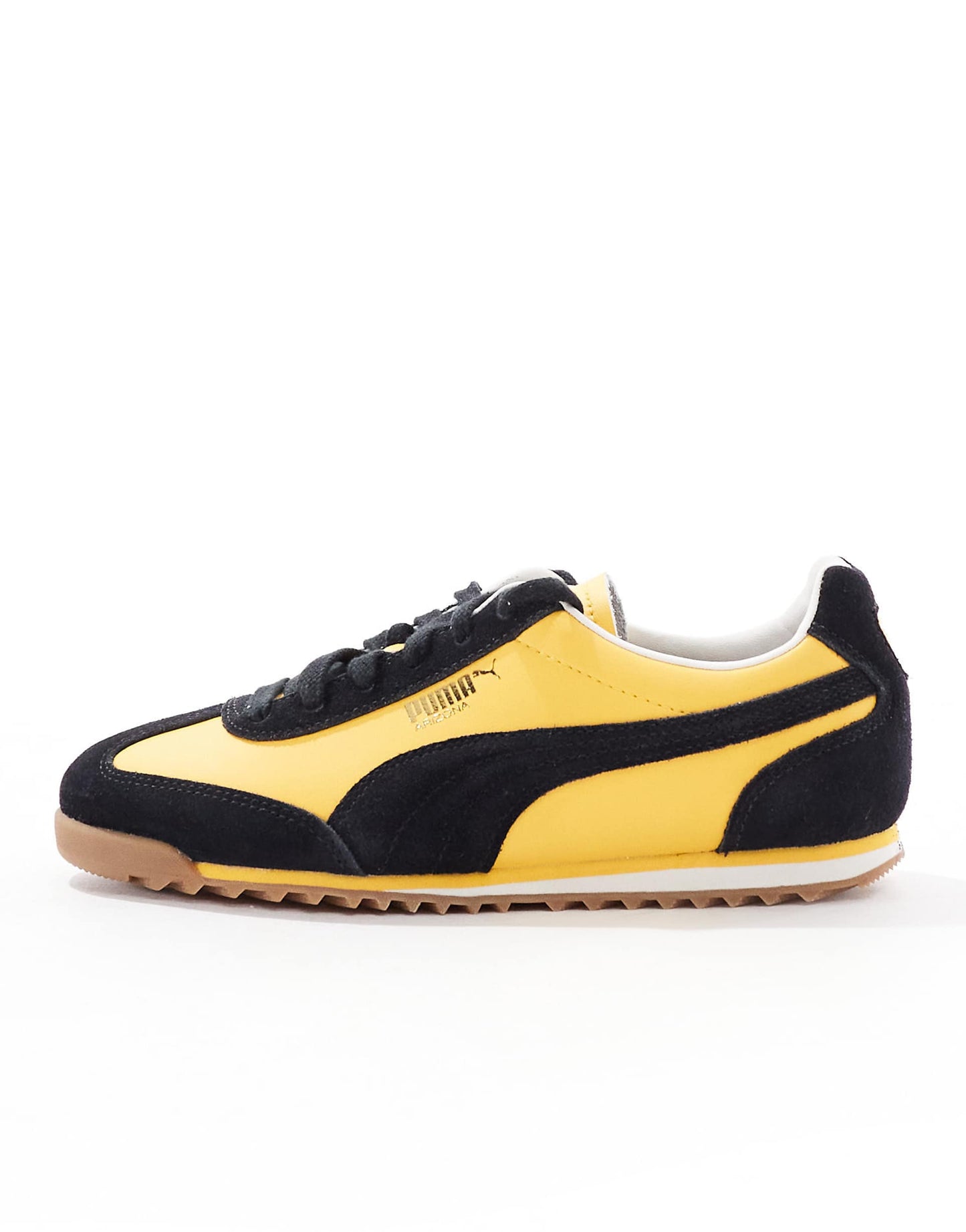 Arizona Trainers