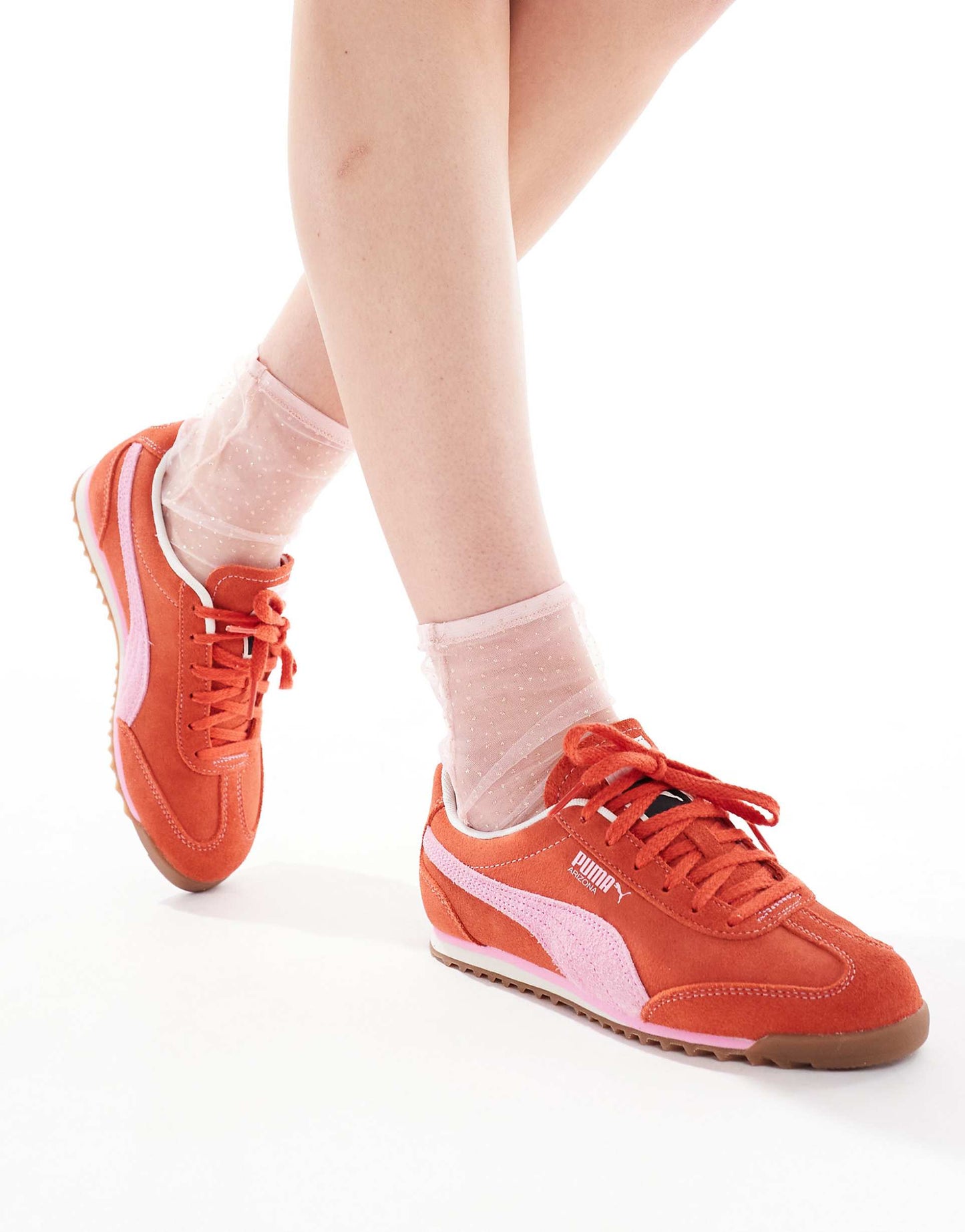 Arizona Trainers
