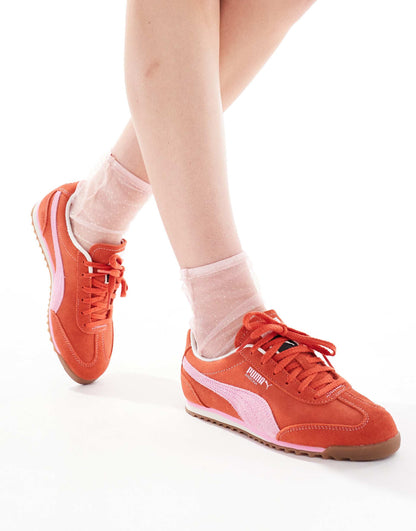 Arizona Trainers