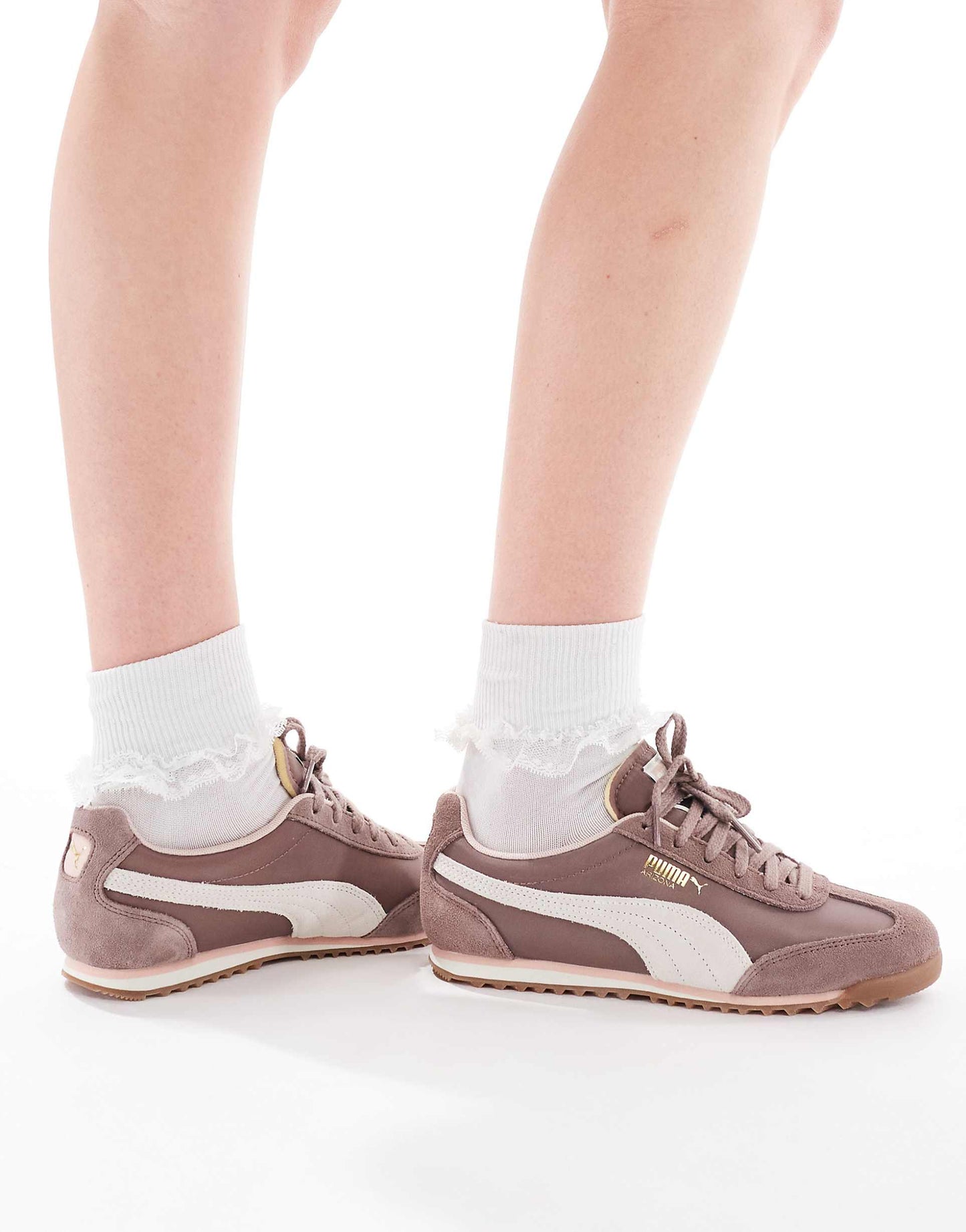 Arizona Trainers